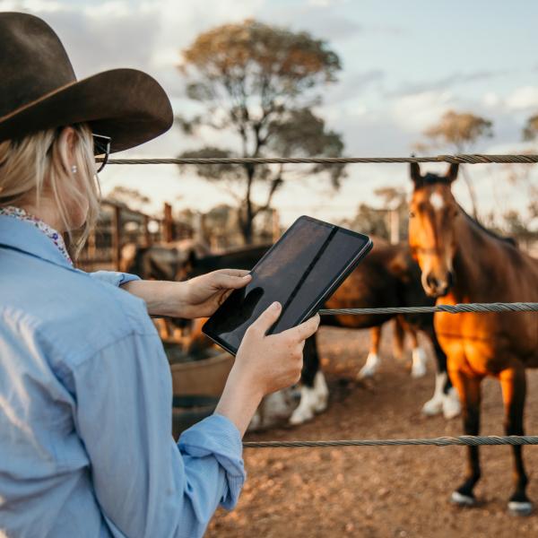 Simple and seamless services