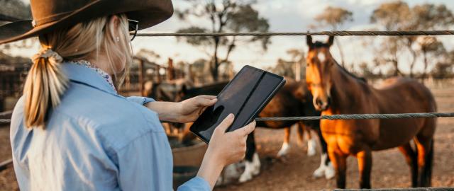 Simple and seamless services